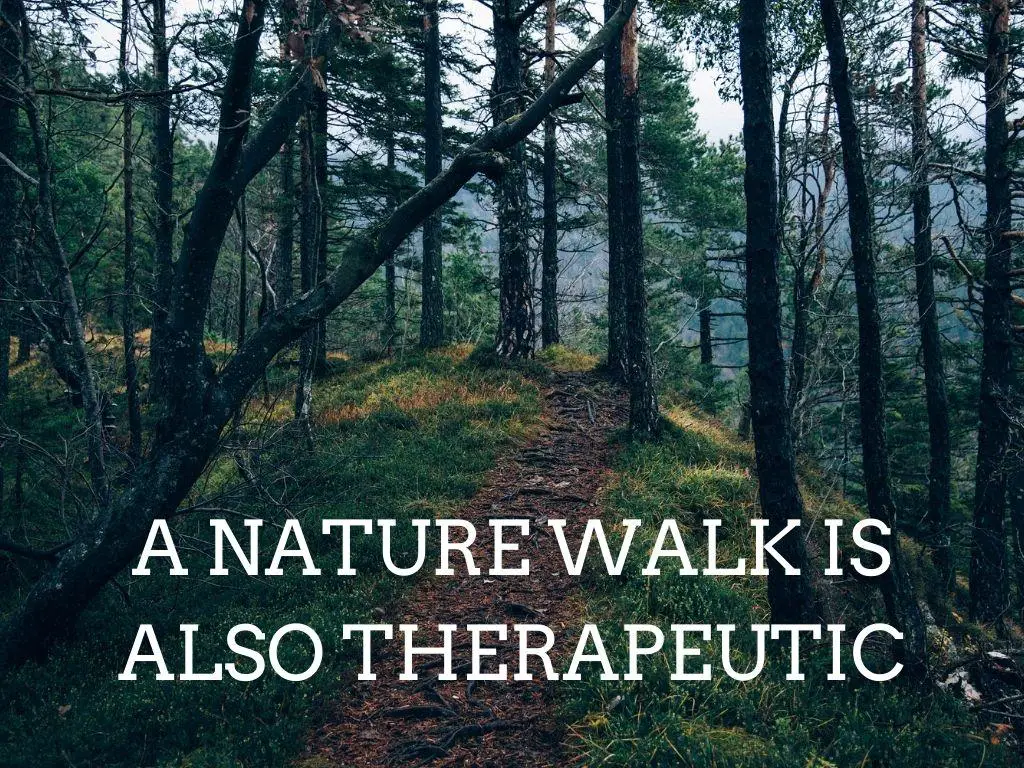 A nature walk or walking the dog is a therapeutic way of ending weekend