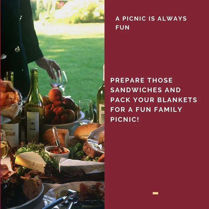 Go on a weekend picnic with kids or husband