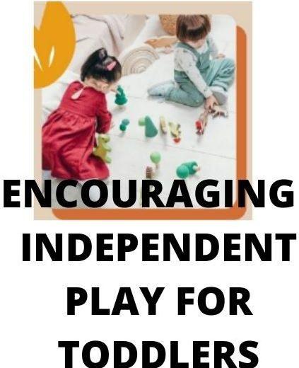 Encouraging a Longer Independent Play in ToddlersBabies