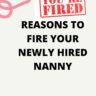 Tell Tale Signs of a Good Nanny and How to Hire the Right Nanny